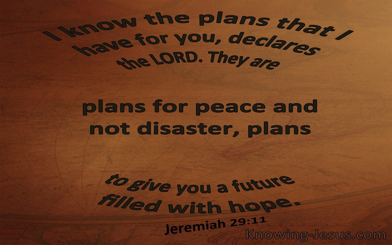 Jeremiah 29:11 The Plans I Have For You (brown)